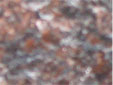 Tan Brown